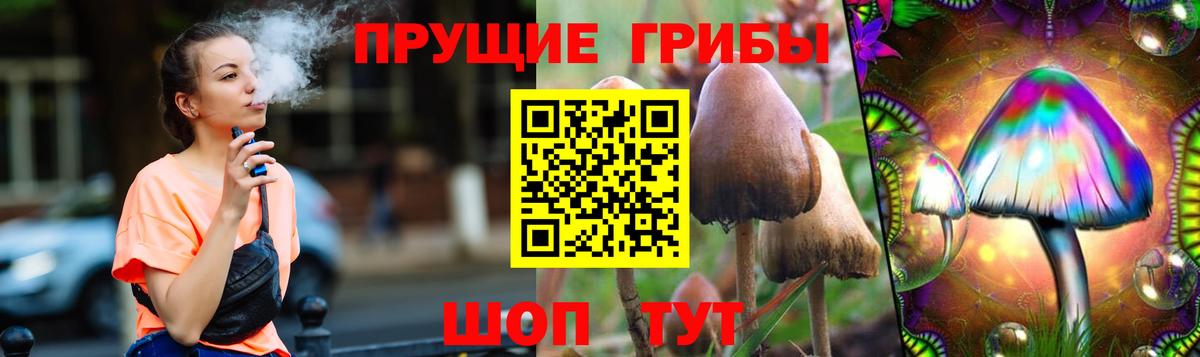 Псилоцибиновые грибы Cubensis  где можно купить наркотик  Краснокаменск  Вход с VPN  Галлюциногенные грибы Psilocybine cubensis 